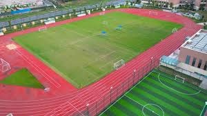 为什么棒球打者在挥棒失利后会习惯性地看向自己的脚下和球棒